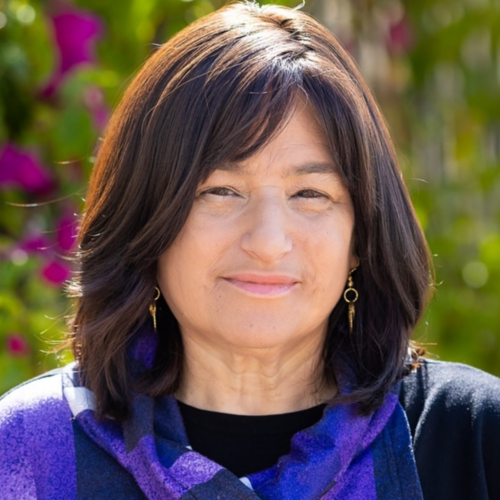 CEO Paula Stern
